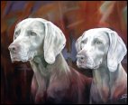 Weimaraners - limited edition of 50 - by Stuart Mallard