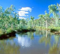 Palm Valley, Northern Territory