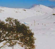 Mt. Mackay, Falls Creek