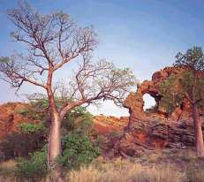 Kimberley, Western Australia
