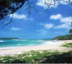 Beautiful North Queensland beach.