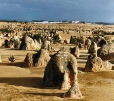 The Pinnacles in Western Australia. These are the skeletal remains of trees that grew thousands of years ago, before being engulfed and choked to death by invading sands. As sand dunes move, calcified and solidified pinnacles appear.