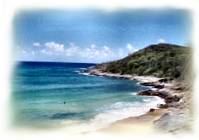 Visit the beautiful Sunshine Coast in Queensland.....click here for lots more info!