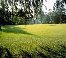 One of the many lovely parks in Western Australia