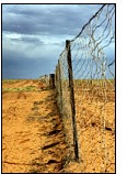 Stretching some 5000km across the central deserts of Australia, the dingo fence was erected to prevent dingoes entering South Australia from the north.