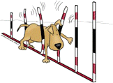 Build it yourself - dog agility equipment!