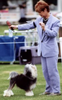 Best of Breed Melbourne Royal 2000 - Chismene Ripperoo