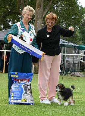 Phoenix - CHINAROAD GLOBETROTTER with owner/handler Leigh Shanahan (NSW)