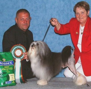 BEST EXHIBIT IN SHOW AT THE WESTERN CLASSIC 2003