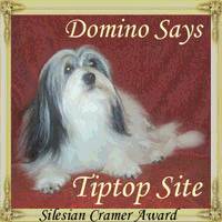 Silesian Cramer Tip Top Site Award