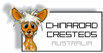 Chinaroad Chinese Crested Dogs of Australia
