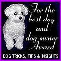 Dog Tricks, Tips and Insights Best Dog and Dog Owner Award