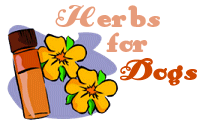 Herbs for Dogs by Diana Hayes DIHom Dip Animal Homeopathy