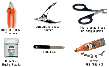 Nail Trimming Tools