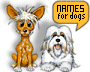 Thousands of Names for Your Dog, Cat, Horse, Guinea Pig, Rat, Rabbit, Frog............