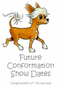 Future Conformation Show Dates in Australia & worldwide