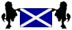 Lowchens & Scottish Flag