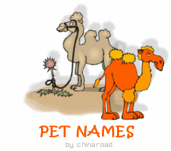 NAMES FOR PETS!